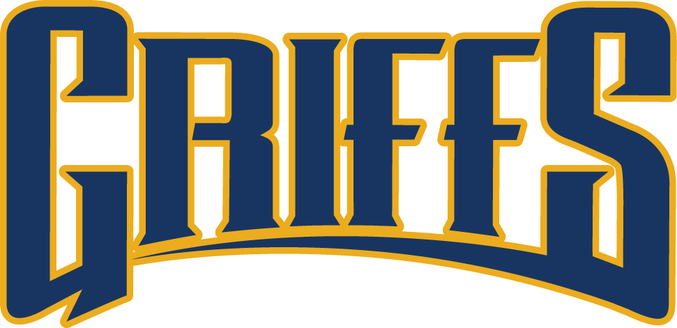 Canisius Golden Griffins 2006-Pres Wordmark Logo v2 iron on transfers for T-shirts